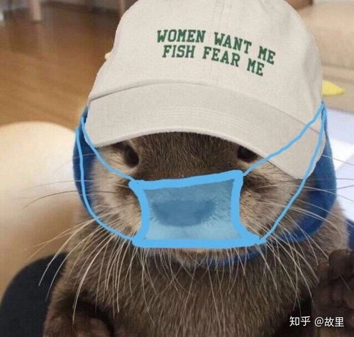  戴口罩头像分享太可爱了