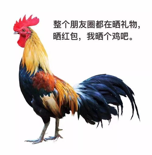  为什么有些艺人值得粉丝二次消费但有些艺人不值得