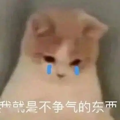  2023金三银四,软件测试根本找不到工作......