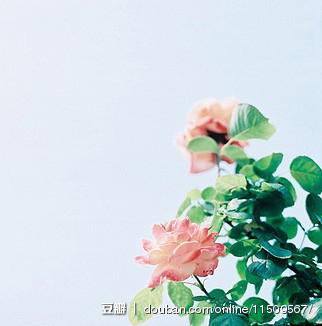  用证明你还年轻