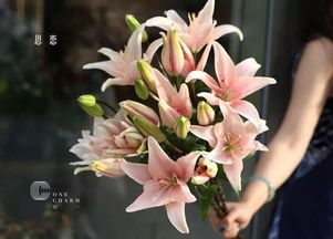  2019年12星座幸运花大揭秘