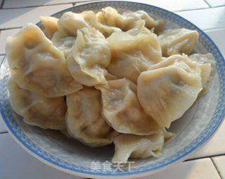  芹菜圆白菜饺子的做法芹菜圆白菜饺子头伏的饺子芹菜圆白菜饺子怎么做水煮饺的菜谱