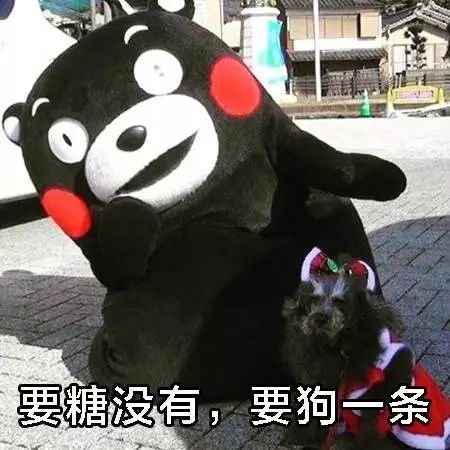  万圣节表情包