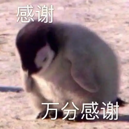  陈飞宇瓜妈or女友粉在吗有安利卖吗