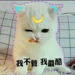  旧往世尘的美拍美拍让短视频更好看