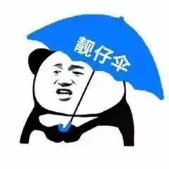  搞笑熊猫头打伞高清表情包,靓仔伞熊猫头打伞
