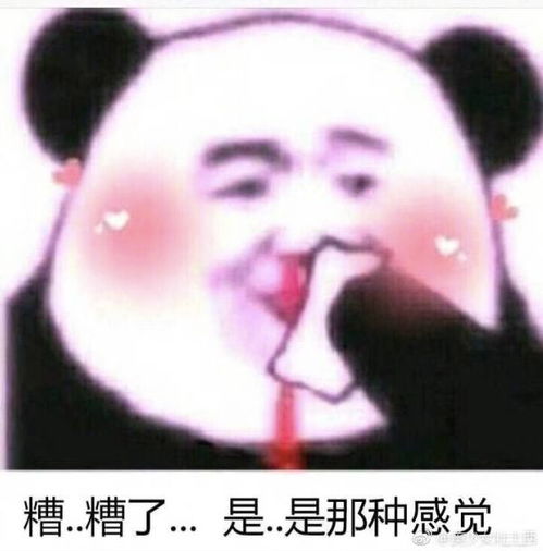  和山争哥哥抢c位的又多了一个陈建斌反差萌版宠妻狂魔比四爷还有戏
