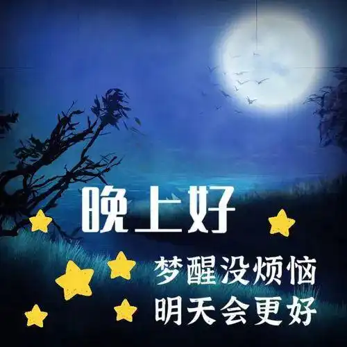  晚上好动态带字图片晚安图片表情包