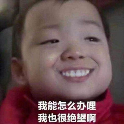  中级会计