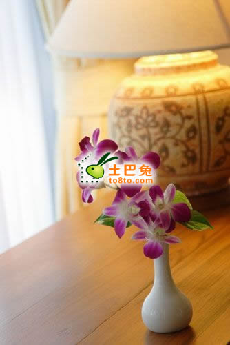  痴男怨女要小心的婚房风水
