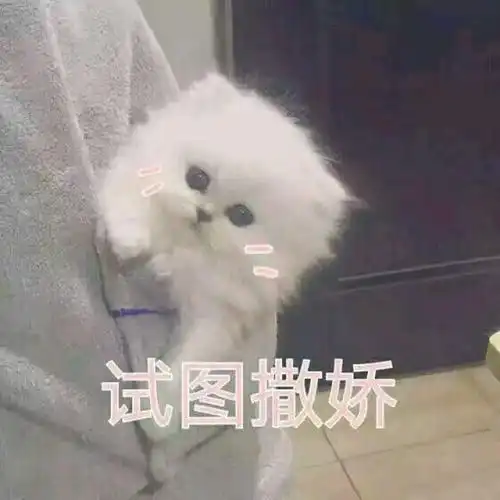  这就是猛男所需要的表情包哟