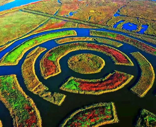  2020年盘锦鸳鸯沟红海滩,围海湿地辽河口自然保护区,本溪红叶摄影采风创作