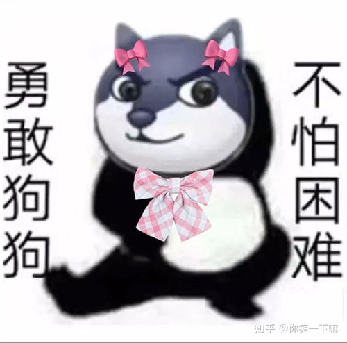  你们用网易云多还是qq音乐多