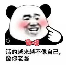 狗粮 表情包高以翔