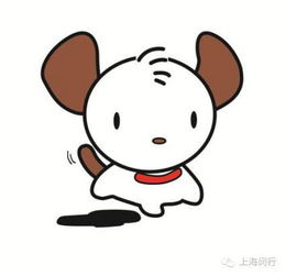  想免费给你家宠物做体检吗想用优惠价格买到心仪的萌宠吗周六来这里啊附闵行宠物疫苗接种及办证点一览