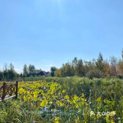  电话,地址,价格,营业时间图长春休闲娱乐