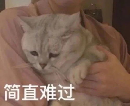  猛男哄女朋友的表情包