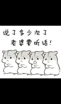  求小仓鼠hamham的表情包老公老婆,小娘子,夫君君系列的
