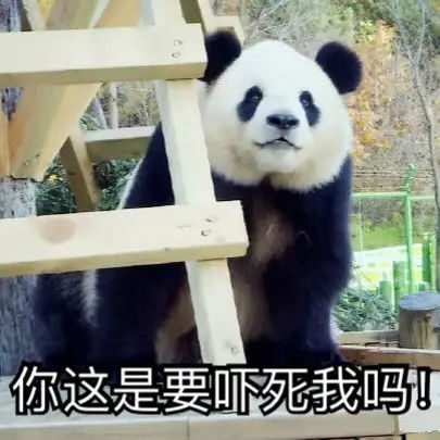  可爱熊猫表情包第一弹