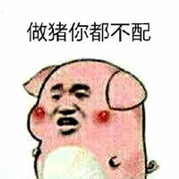  我不配表情包