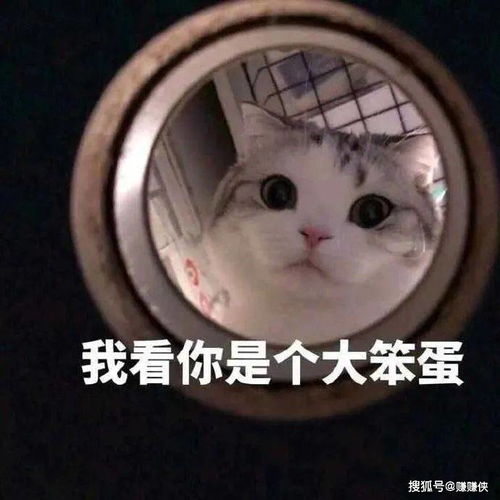  搞笑表情包图片向大佬低头,去那边,自己玩