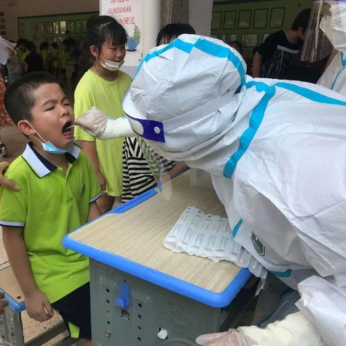  16.7万师生,一天内完成惠安所有学校核酸检测全覆盖