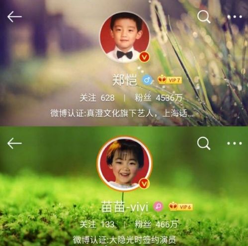  太甜了郑恺与苗苗官宣结婚喜讯后换情侣头像