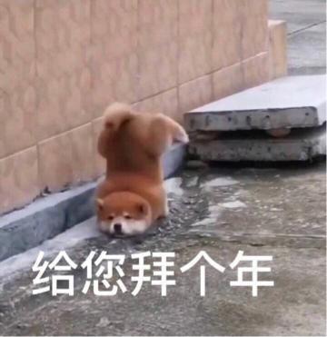 一年一度魔兽打折季,优惠福利让老司机纷纷掏出压岁钱