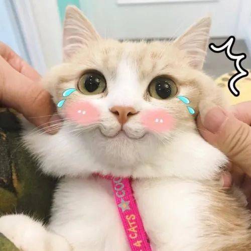  这10所双非院校,排名远超双一流一定要看