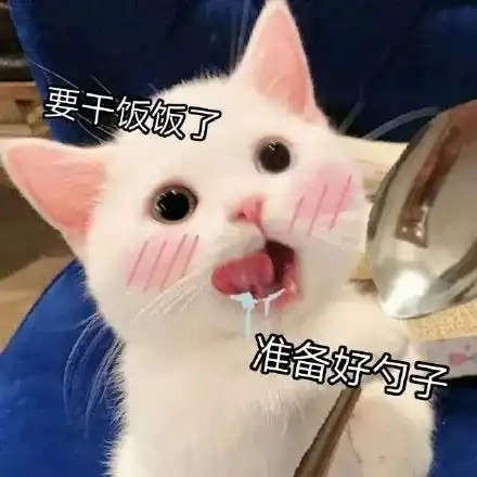 一只白猫旁边一个问号的