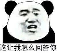  表情包还是沙雕熊猫头好使