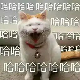  好惨一见钟情却丢了命