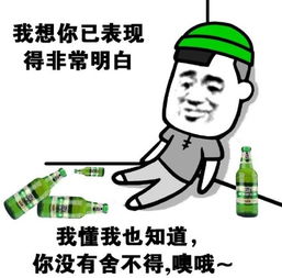  我懂表情包我懂微信表情包我懂qq表情包发表情fabiaoqing.com