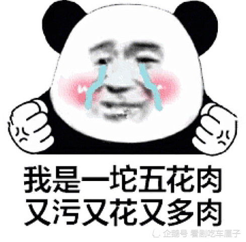 有我在表情包表情
