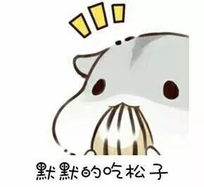  扎心了,来脱单秘籍了解一下