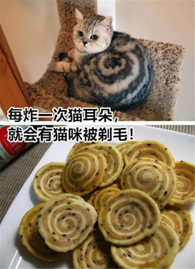 泡面的危害表情包猫耳朵