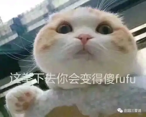  腾讯内容开放平台