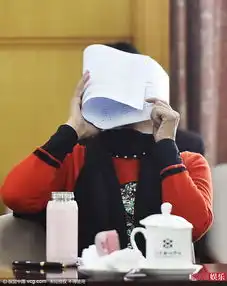  宋祖英现身两会夸张表情走红