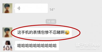  和赵丽颖聊微信我给林更新发他的表情包,他说我是神经病...