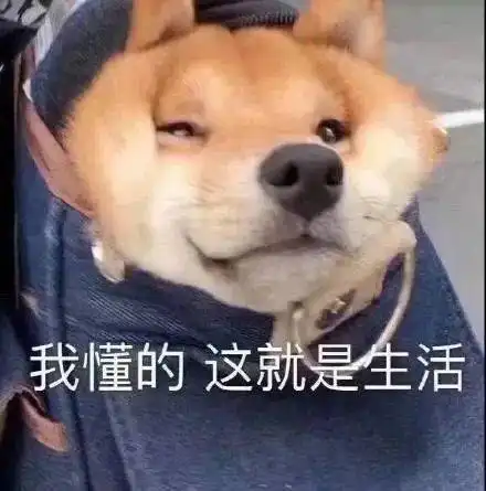  神装秀遇到这位高敏高致命的暴力战甲,根本没有撤退可言