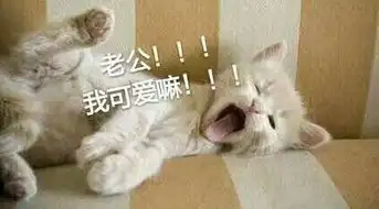  我老公系列表情包