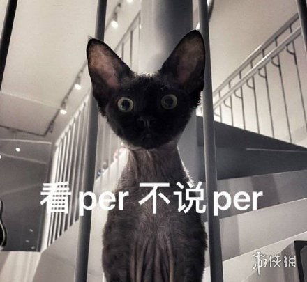  per猫咪系列表情包per猫咪系列表情包大全游侠手游
