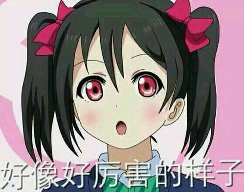  红足一1世666814外交部
