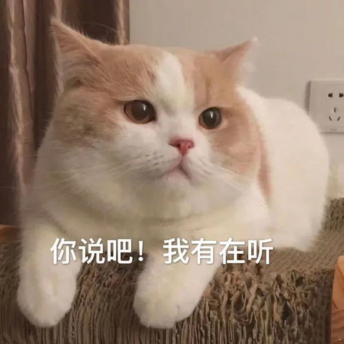  表情包女人只会影响我拔剑的速度