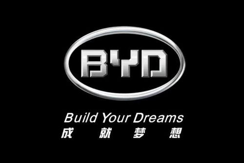  比亚迪成全球最大口罩生产商每秒产231只
