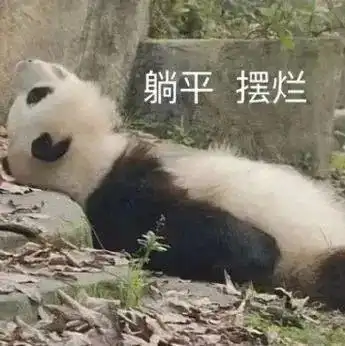 摆烂大熊猫表情包