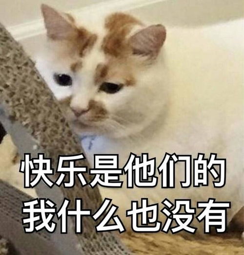  三亚会议快乐分享错了人,就成了显摆