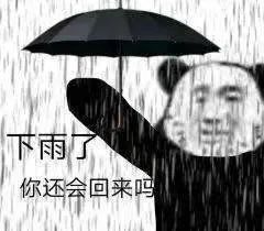  网络知名度低但现实口碑极好的星座