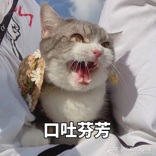  微笑表情包变形计mmp成型之路