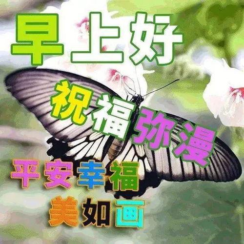  夏季早上好暖心问候语阳光祝福表情图片早上好温馨问候祝福表情图片